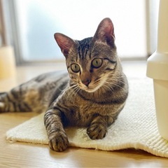 甘えん坊くん 1歳