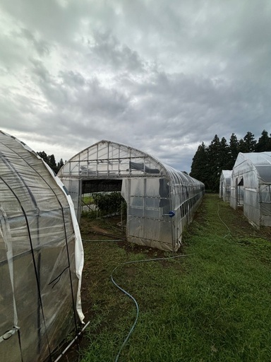 38万円美品ビニールハウス14間現物確認、値下げ交渉可能。問い合わせください