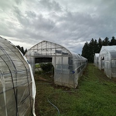 ビニールハウス14間現物確認、値下げ交渉可能。問い合わせくださいの画像