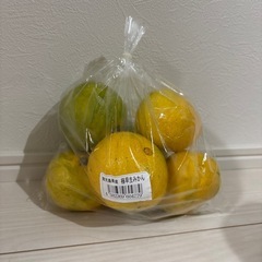 極早生みかん　6つ入りの画像