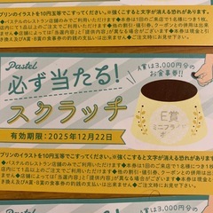 パステル　ミニフライドポテト券6枚の画像