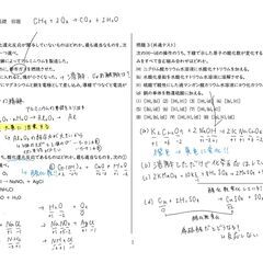 【オンライン】現役中高一貫の先生が伴走指導の画像