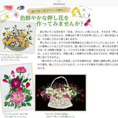押し花セットの画像