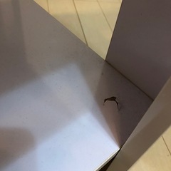収納付きローテーブル　ホワイトの画像