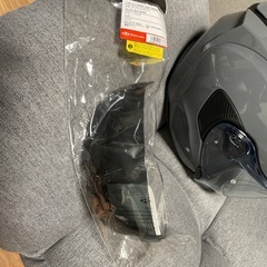 ｴｸｼｰﾄﾞ2　インナー ブルーミラーシールド　ピンロック付　チークパッドオプション品　 OGK kabuto EXCEED2 カブト　エクシード2 試着のみの画像