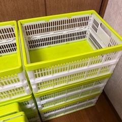 折りたたみ式コンテナ　10個の画像