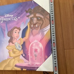 未開封　ディズニープリンセス　ベル　アートボードの画像