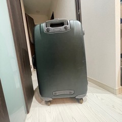 キャリーバッグの画像