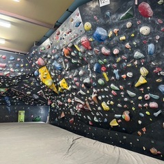 ボルタリング仲間募集中！