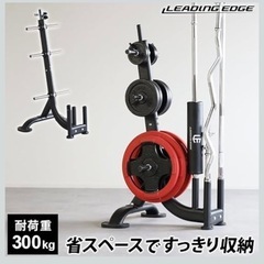 未使用 リーディングエッジ プレートラック 耐荷重300kg 28mmの画像