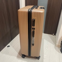 【新品未使用】キャリーバッグの画像