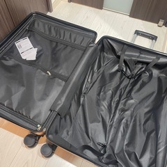 【新品未使用】キャリーバッグの画像
