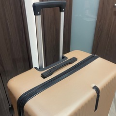 【新品未使用】キャリーバッグの画像