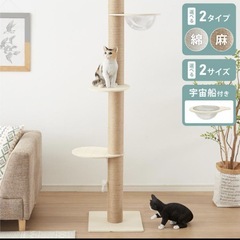 キャットタワーの画像