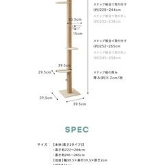 キャットタワーの画像