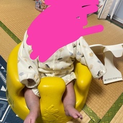 バンボの画像
