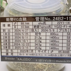 取引中 能勢YGオオクワガタ♂85.4mmBの画像