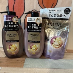パンテーン　シャンプー　トリートメント　ボトル　詰め替え用　袋　3点セットの画像