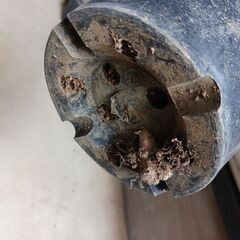 2000円 7 ホンコン コンパクタ　5号　シェフレラ　観葉植物の画像