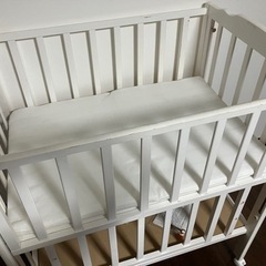 ハイミニベット　yamatoyaの画像