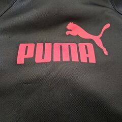 PUMA　150　子供用ジャージ　上下の画像