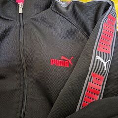 PUMA　150　子供用ジャージ　上下の画像