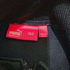 PUMA　150　子供用ジャージ　上下の画像