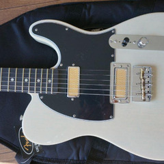 Fender Gold Foil Telecasterの画像