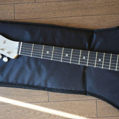 Fender Gold Foil Telecasterの画像