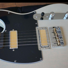 Fender Gold Foil Telecasterの画像
