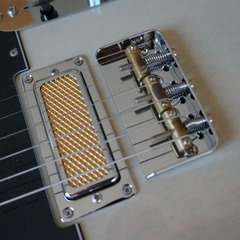 Fender Gold Foil Telecasterの画像
