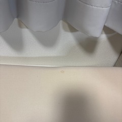トゥルースリーパー シングル 　　の画像