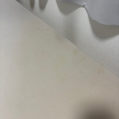 トゥルースリーパー シングル 　　の画像