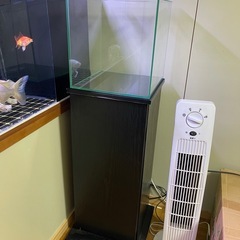 30x30x30
㎝水槽ガラスと水槽台の画像