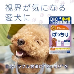 DHC 犬用 国産 ぱっちり 60粒の画像