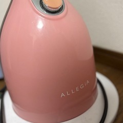  【10/26まで限定販売】 業務用スチームアイロンの画像