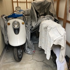 ラビット　S301の画像
