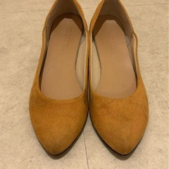 パンプス・靴セットの画像