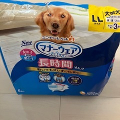 大型犬用オムツの画像