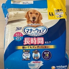 大型犬用オムツの画像