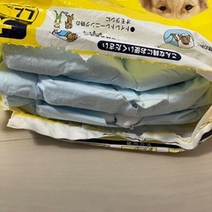 大型犬用オムツの画像