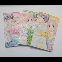 畑亜希美 6作品(全17冊)の画像