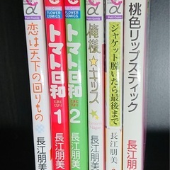長江朋美 5作品の画像