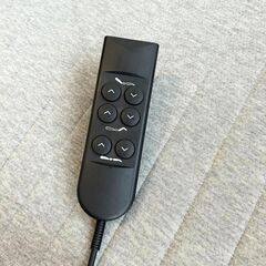 [価格交渉OK] 電動 ベッドフレーム マットレス 介護用 ニトリ シングルの画像