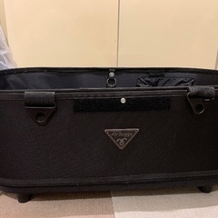 エアバギーDOME2  ラージサイズ　コットのみの画像
