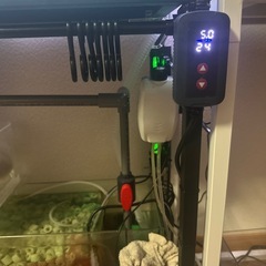 60センチオーバーフロー水槽の画像