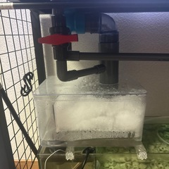 60センチオーバーフロー水槽の画像