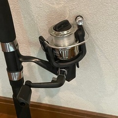 ダイソー【振り出し竿&3000番リール】の画像