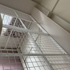ロフトベッドの画像