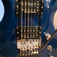 Edwards forest E-FR-145GT/QM フォレスト ケース付属の画像